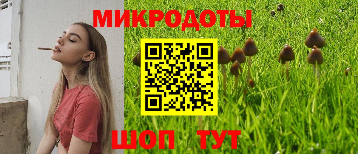 Псилоцибиновые грибы GOLDEN TEACHER  Вход с VPN  Псилоцибиновые грибы Psilocybine cubensis  Десногорск 
