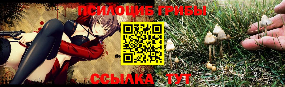 Галлюциногенные грибы MAGIC MUSHROOMS Десногорск